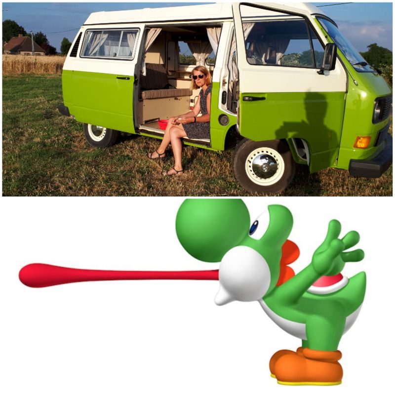Yoshi 1.jpg