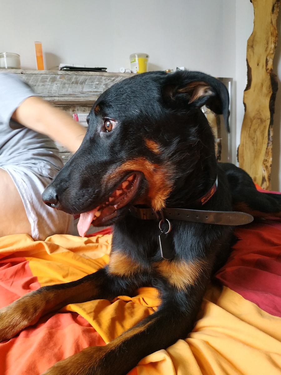 le p'ti dernier bon 35 kilo quand même lol