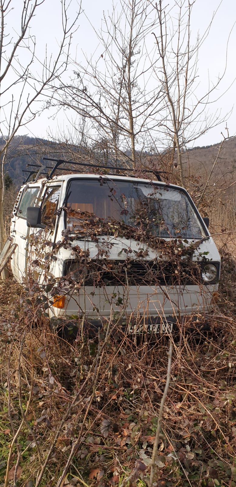 16FEBE38-A46A-40F7-B7AE-8F9947478054.jpeg